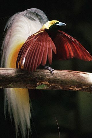 Cennet aslında nasıl bir yerdir? - Resim: 3