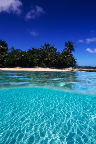 Cennet aslında nasıl bir yerdir? - Resim: 4