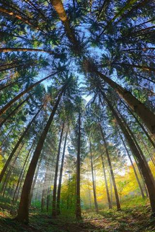 Bu fotoğraflar birer şaheser - Resim: 2