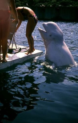 Haftanın tıklanma rekoru kıran kareleri - Resim: 2