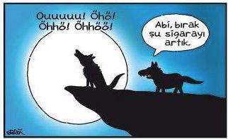 Günün en bomba karikatürleri - Resim: 3