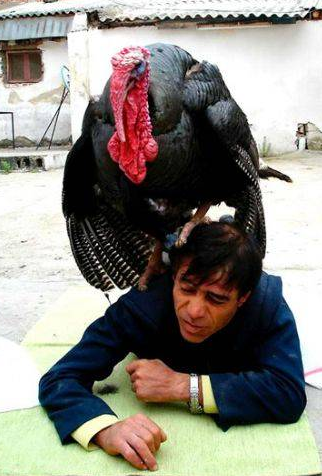 Yurdum insanından kahkaha bombaları - Resim: 3