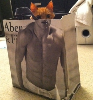 Sanal alemin tık rekortmenleri - Resim: 3