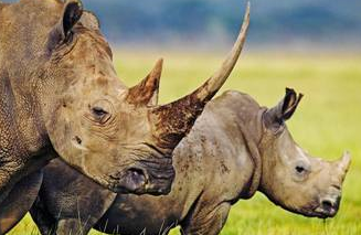 Sağ elinin kullanan daha şanslı! - Resim: 3