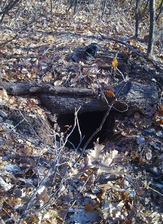 PKK'ya darbe üstüne darbe - Resim: 2