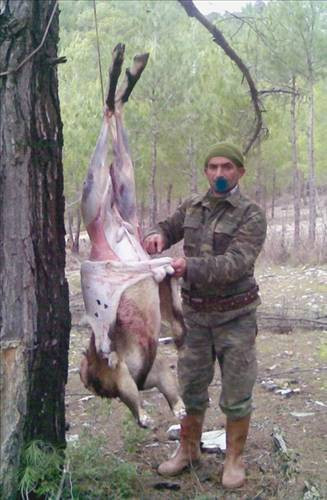 Bu fotoğraflara ağır ceza - Resim: 4