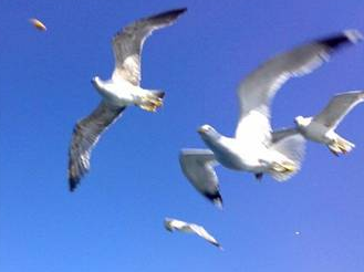 Türkiye'de bedava yapabileceğiniz şeyler! - Resim: 3