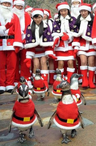 Bu kareler tuhaf ama komik - Resim: 3