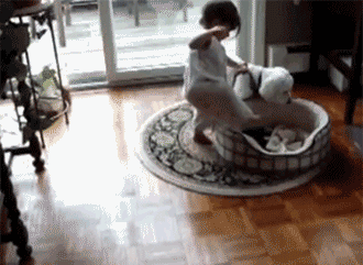 Günün en beğenilen gifleri - Resim: 1