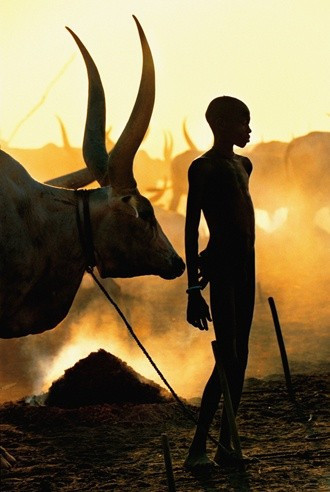 İnek idrarıyla yaptıklarına bakın onların... - Resim: 2