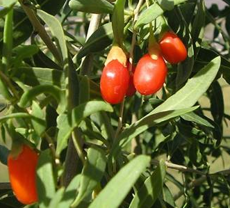 Uzun yaşamanın sırrı bu besinde saklı - Resim: 3