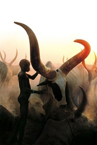 İnek idrarıyla yaptıklarına bakın onların... - Resim: 1