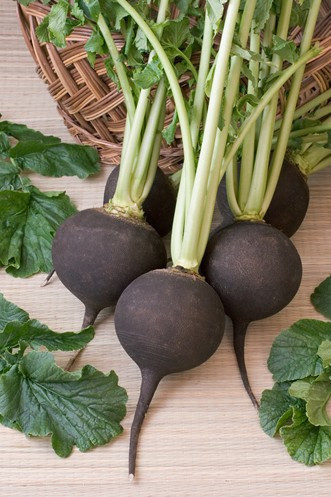 İçine bal koyup bekleyin! Siyah turp kanıtlanmış mucize - Resim: 3