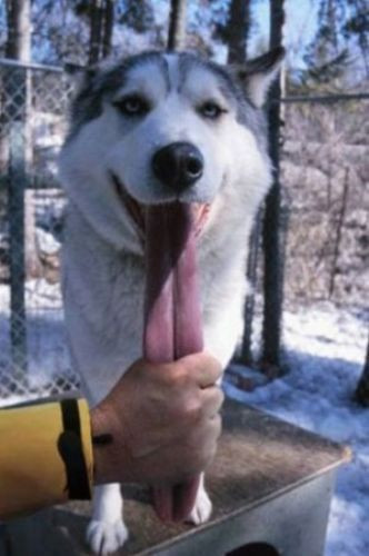 Bu hafta bu anlar tık rekoru kırdı - Resim: 4