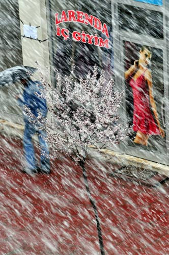 Van'da kar, Muğla'da bahar - Resim: 4