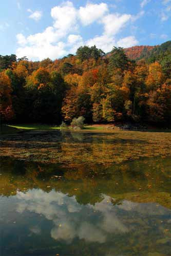 İşte sonbaharın tüm renkleri - Resim: 3