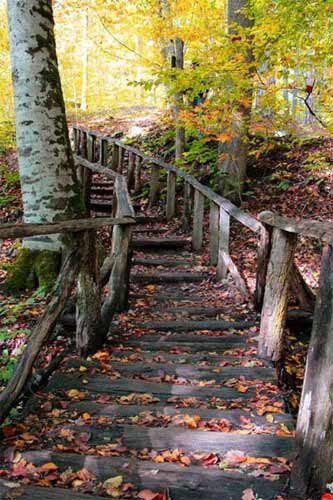 İşte sonbaharın tüm renkleri - Resim: 4