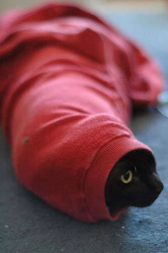 Bakarken gülmekten çatlayacaksınız! - Resim: 2