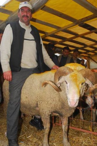 Kurban manzaraları - Resim: 2