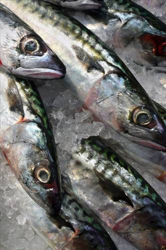 Yaşlanmayı önleyen 45 besin! - Resim: 2