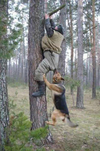 Gülmekten kırılacaksınız - Resim: 3