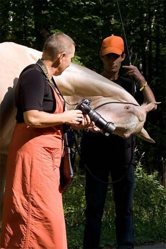 Muhteşem hayvanlar - Resim: 1