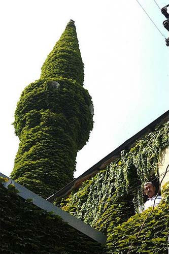 Günün fotoğrafları - Resim: 4