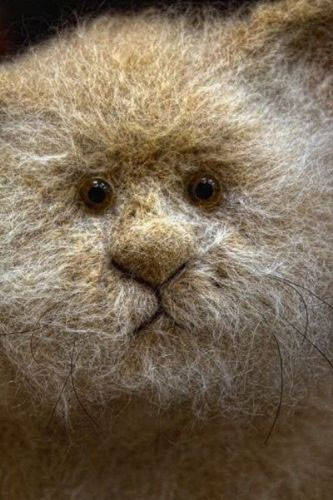 Günün en ilginç kareleri - Resim: 4