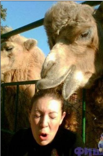 Bu fotoğraflara çok güleceksiniz - Resim: 1