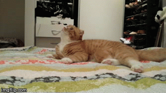 Hafta sonuna bomba gibi başlayın - Resim: 4