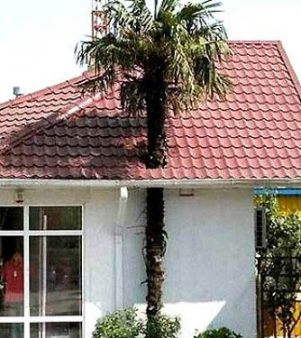 Tüm zamanların en komikleri - Resim: 2