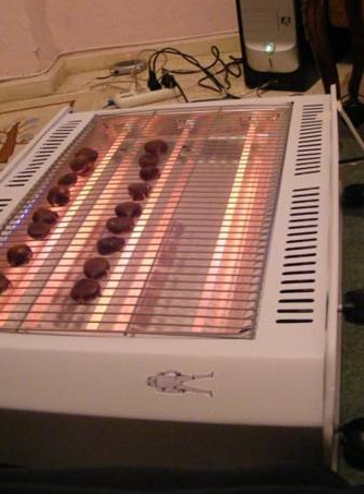 Öğrenci evlerinden akılalmaz manzaralar! - Resim: 3