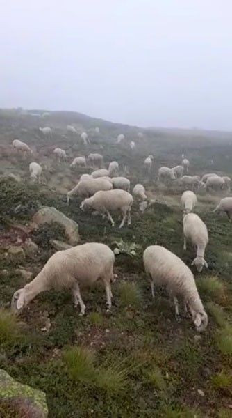 Eylül ayında kar herkesi şaşırttı Meteoroloji iki gün fena olacak diyerek haberi verdi - Resim: 2