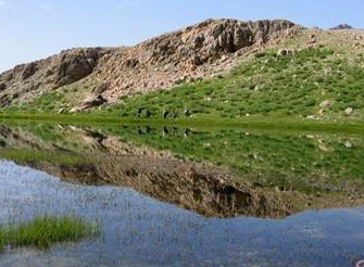 En kötü şöförler bu şehirden çıkıyor - Resim: 4