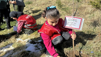Hakkari'de Türkiye ve Gazze'deki şehitler anısına fidan dikildi