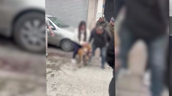 Tekirdağ'da Pitbull'un sahipliği köpeğe saldırı anı görüntülendi