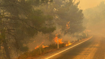 Gömeç'te başlayan yangın Ayvalık'a sıçradı