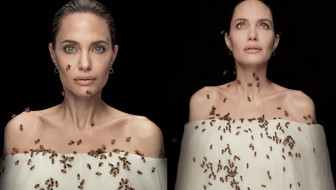 Angelina Jolie dakikalarca arılarla poz verdi