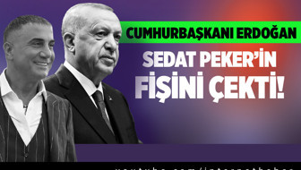 Cumhurbaşkanı Erdoğan Sedat Peker'in fişini çekti!