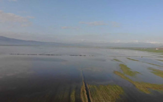 Kahramanmaraş’ta 20 bin dönüm arazi sular altında