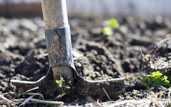 Bakanlık yeni önlemleri devreye aldı! 2016'dan beri yasaktı kullanımına izin çıktı