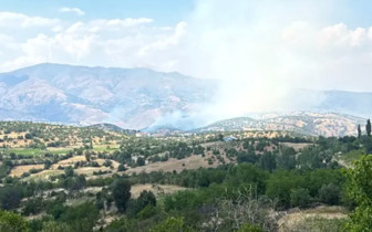 Malatya'da orman yangını!