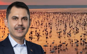 Bakan Kurum açıkladı: Tuz Gölü'nde son 5 yılın en yüksek flamingo yavrusu sayısına ulaşıldı