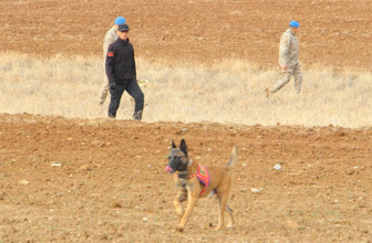 Isparta'da kesik başlı çoban dehşeti! Bir il 3 gündür bu haberle çalkalanıyor