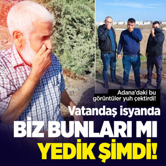 Adana'daki bu görüntüler yuh çektirdi! Vatandaş isyanda "Biz bunları mı yedik"