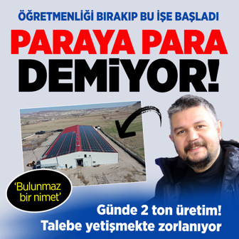 Öğretmenliği bırakıp bu işe başladı paraya para demiyor! Günde 2 ton üretim...