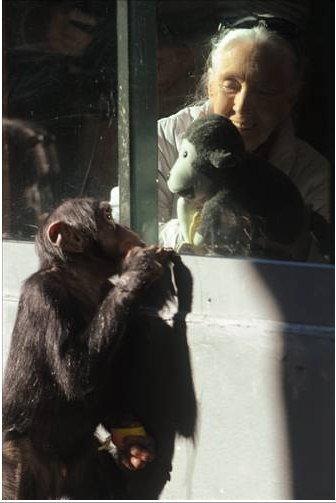 Günün en çok paylaşılan fotoğrafları - Resim: 3