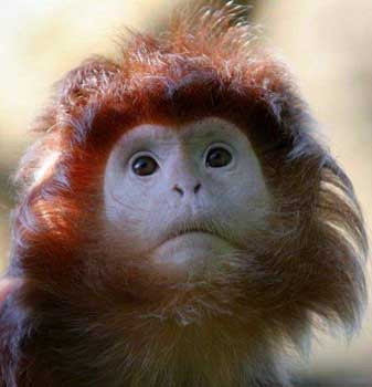 Paylaşım rekoru kıran kareler - Resim: 1