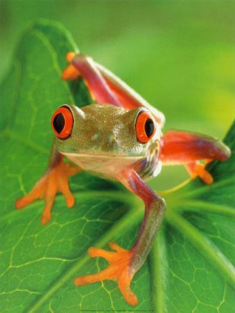 Bazılarının işi bazılarının damak tadı!  - Resim: 1