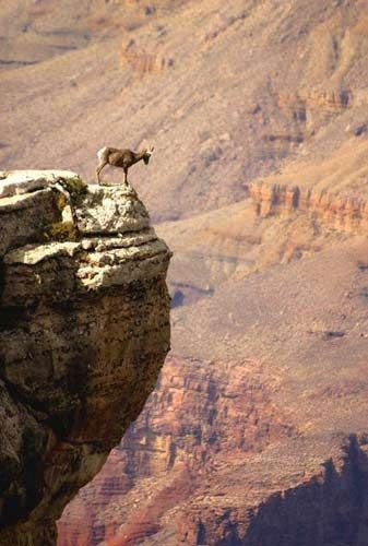 Bu karelerin hepsi çok komik! - Resim: 1